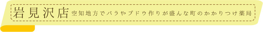 いずみ薬局岩見沢